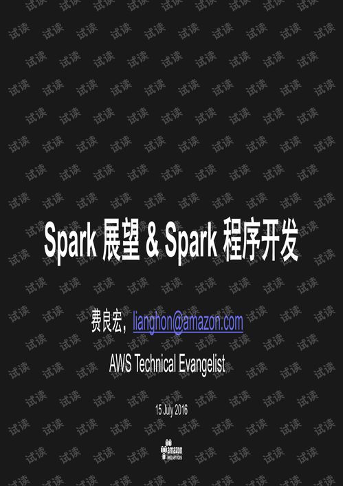 Spark技術(shù)展望與應(yīng)用開(kāi)發(fā) 云計(jì)算巨擘AWS資深顧問(wèn)的專業(yè)洞見(jiàn)