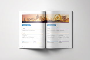 金融投資 國元證券產品畫冊設計