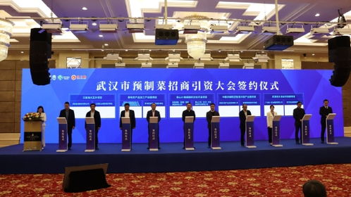 風(fēng)脈能源30億元投資江夏山坡街道 打造萬畝低碳高效水產(chǎn)養(yǎng)殖綜合開發(fā)項(xiàng)目